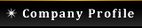 Company Profile ���ϕi �A�N�Z�T���[ ��