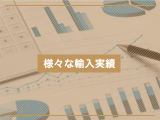 様々な輸入実績